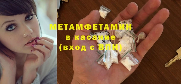 прущие грибы Медногорск