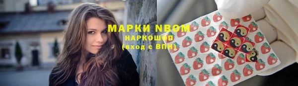крисы Медвежьегорск