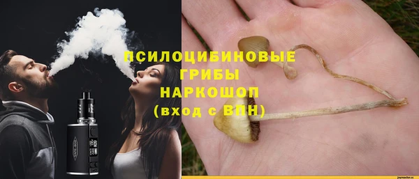 амф Сосновка