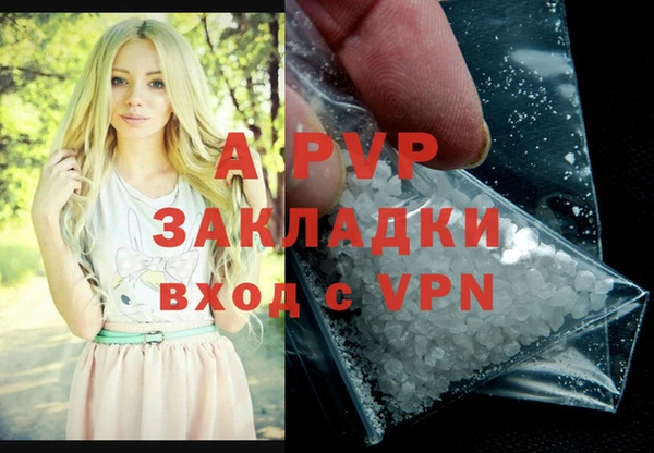 прущие грибы Медногорск