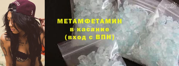 прущие грибы Медногорск