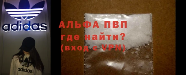 прущие грибы Медногорск