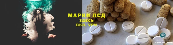 прущие грибы Медногорск