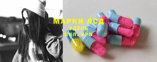 крисы Медвежьегорск