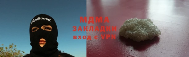 прущие грибы Медногорск