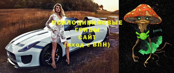 PSILOCYBIN Мегион