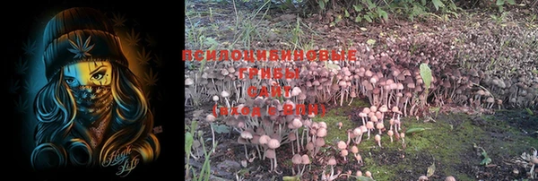 PSILOCYBIN Мегион