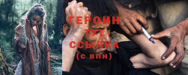 прущие грибы Медногорск