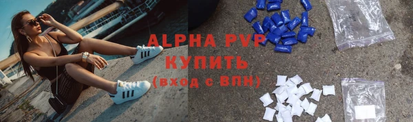 крисы Медвежьегорск