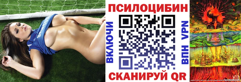 Псилоцибиновые грибы Cubensis  Сургут 